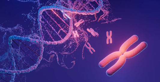 Jak chronić telomery przed skróceniem? Rola antyoksydantów i NAD w ochronie DNA